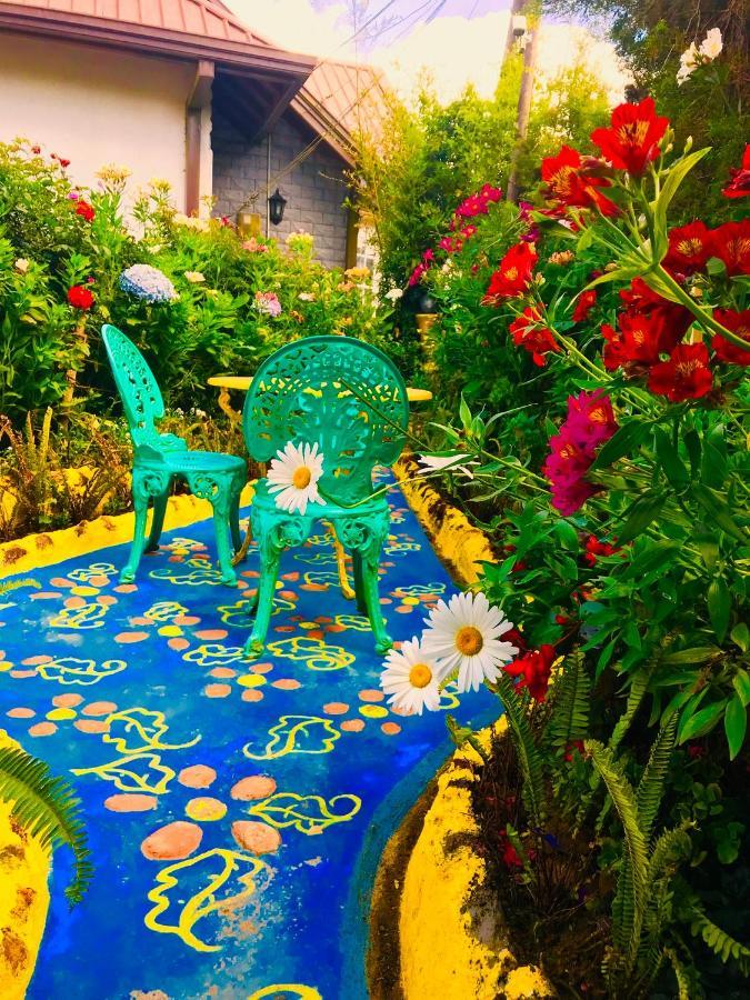 Heidi'S Home Нувара Елия Екстериор снимка